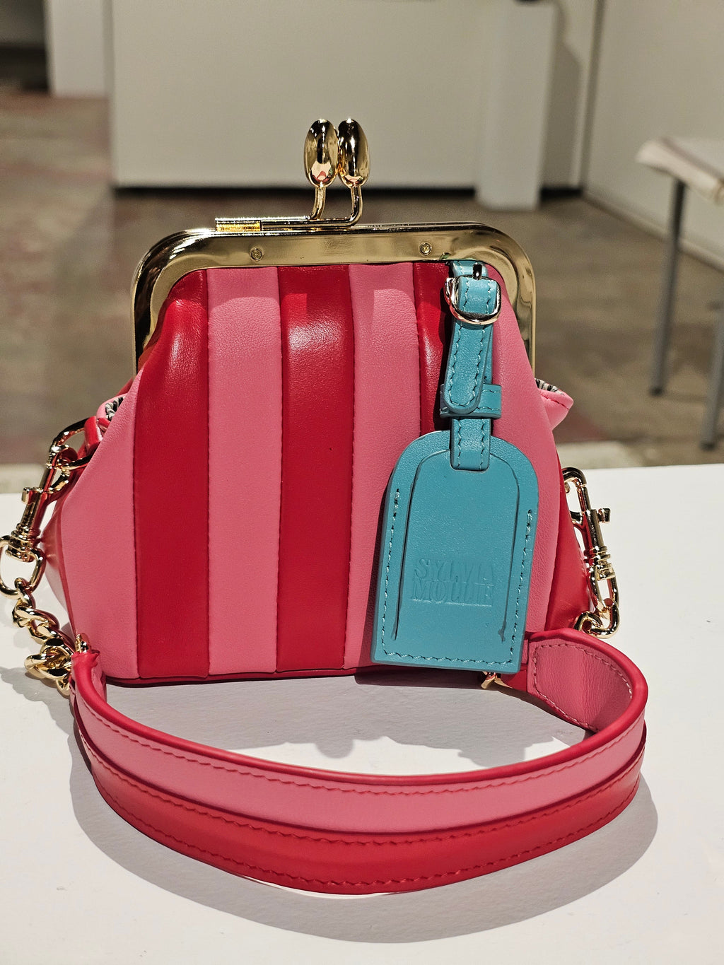The Sylvia Mollie Lil Fannie mini leather bag in red