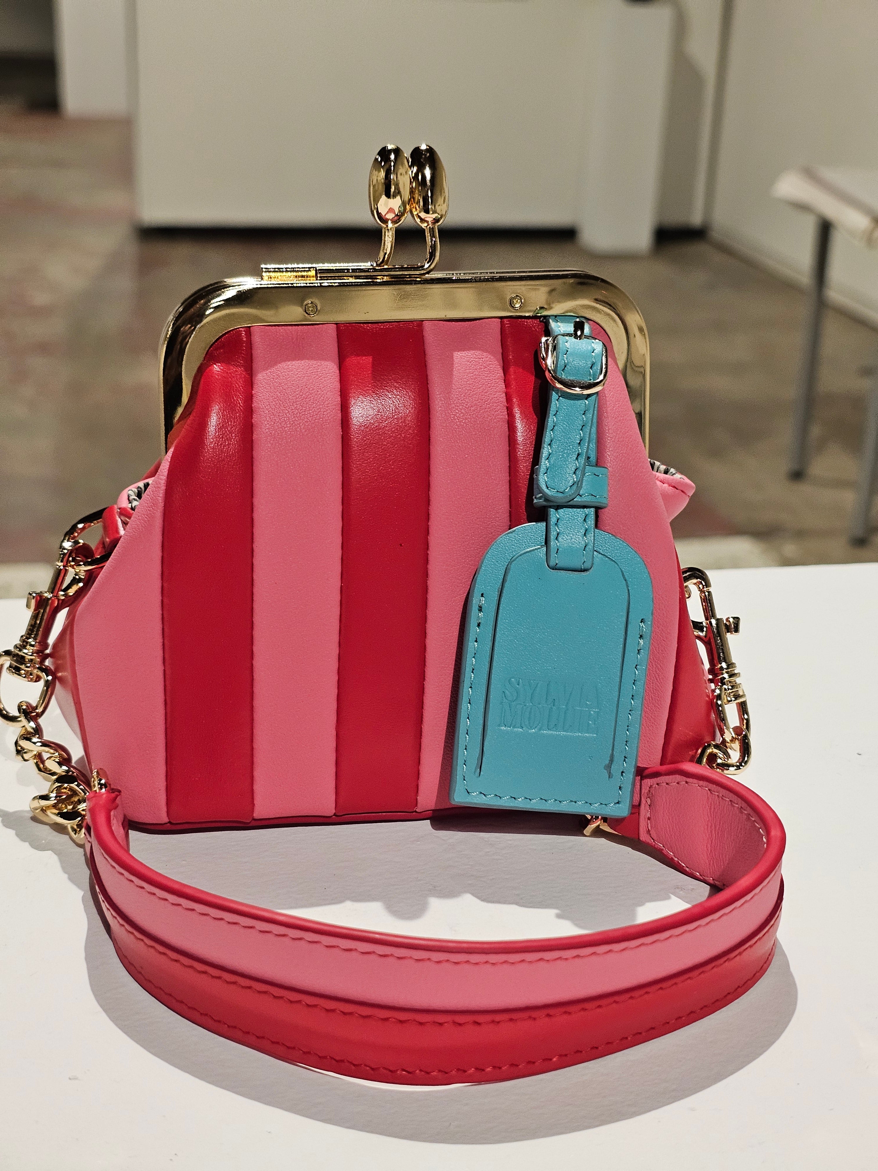 The Sylvia Mollie Lil Fannie mini leather bag in red
