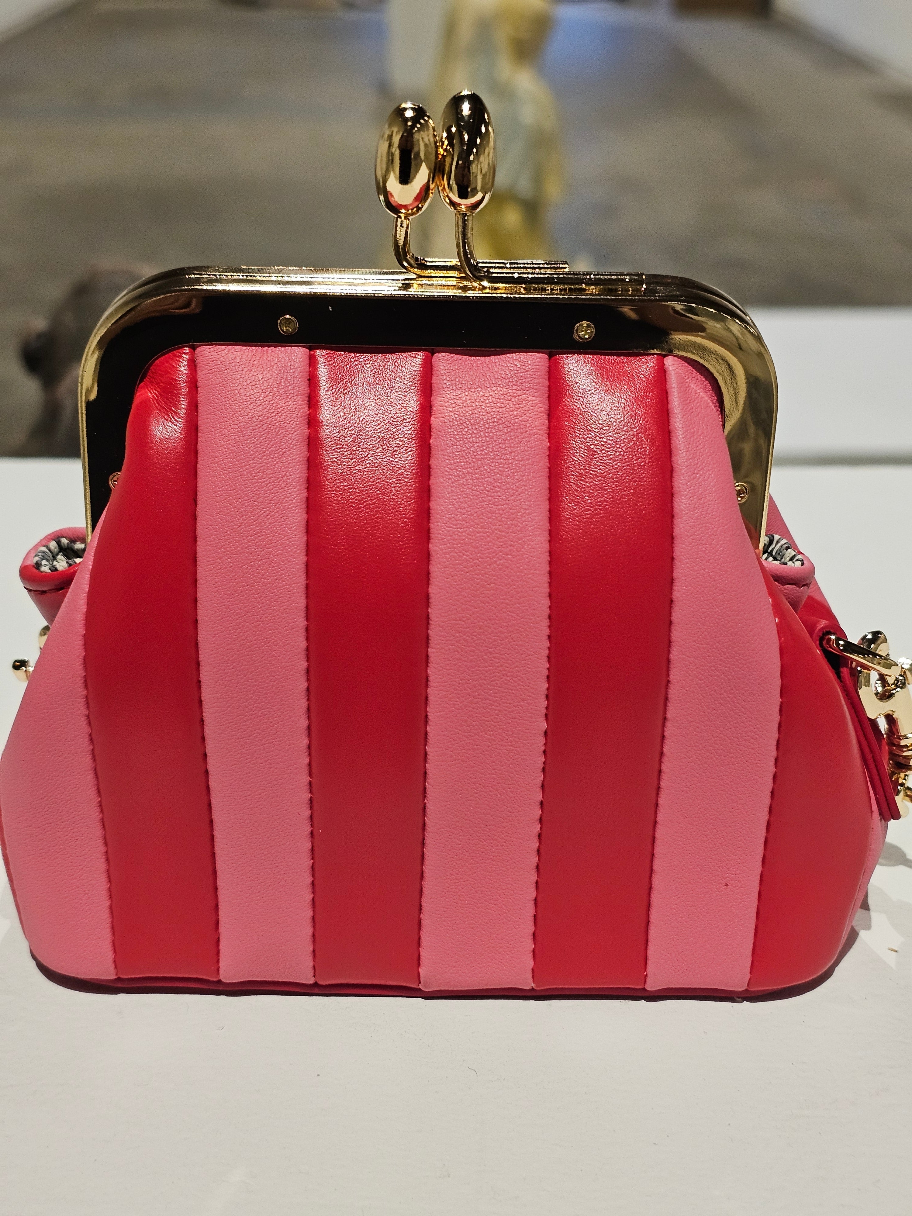 Lil Fannie mini bag with a crossbody strap
