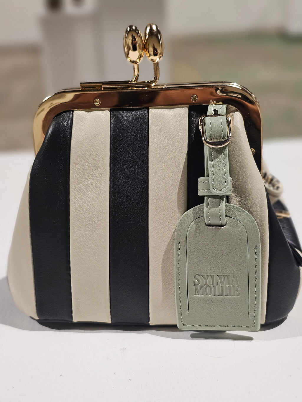 The Sylvia Mollie Lil Fannie mini leather bag
