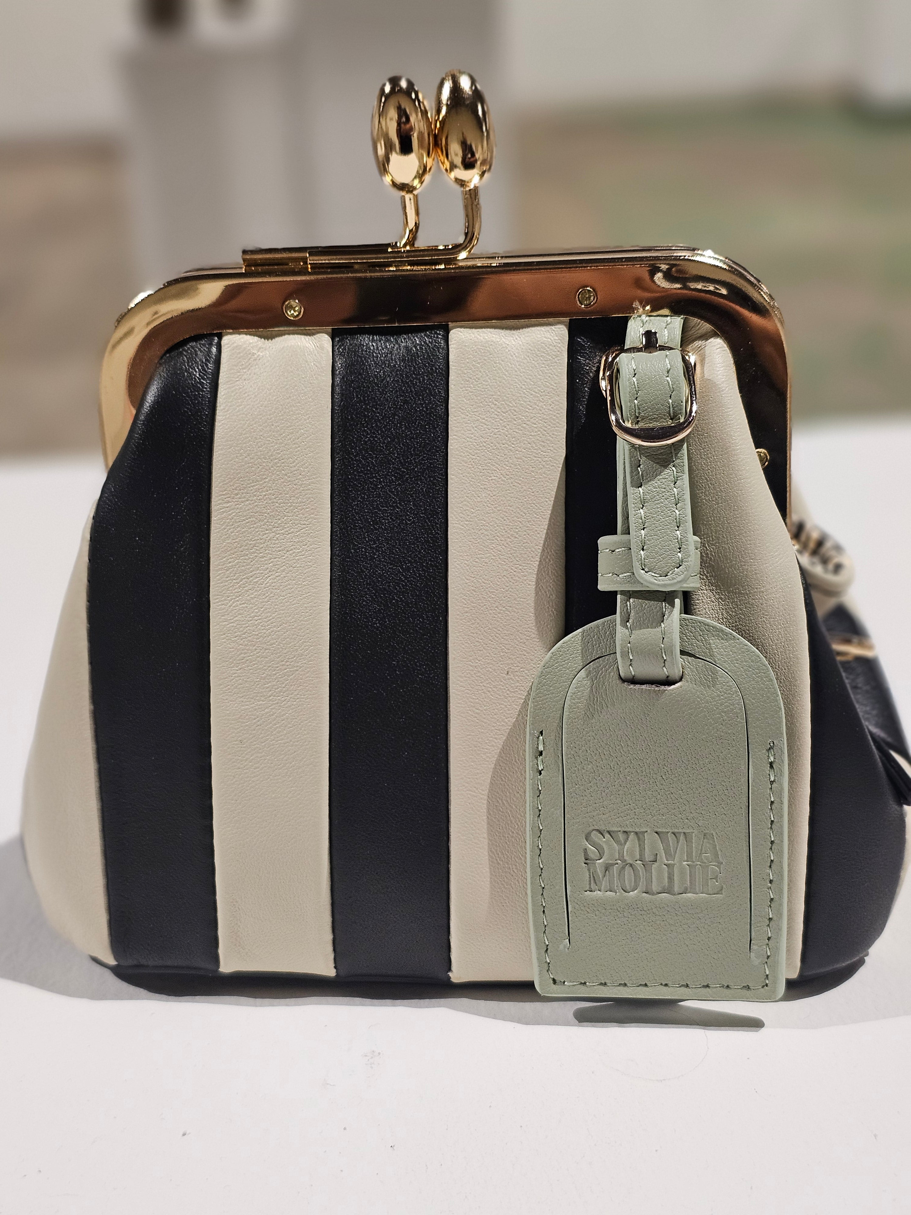 The Sylvia Mollie Lil Fannie mini leather bag