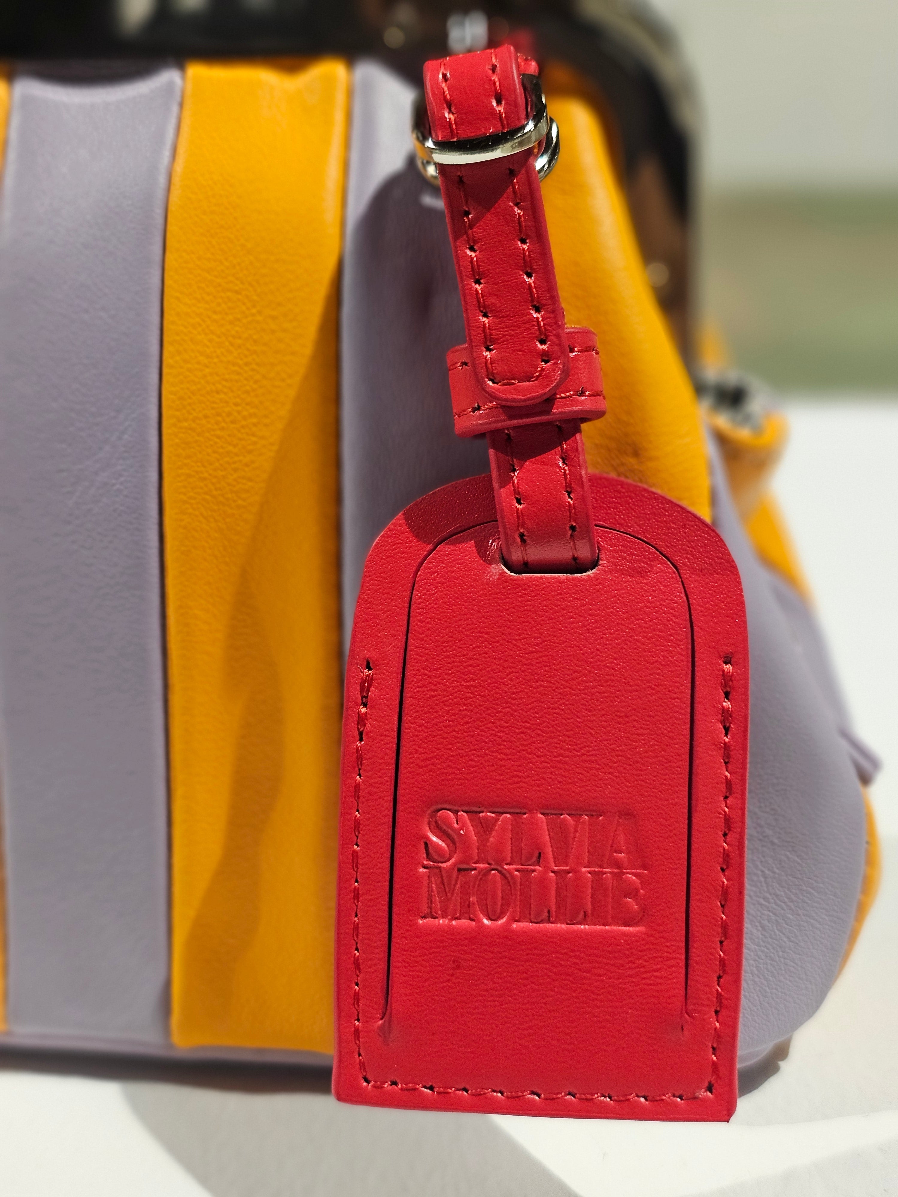 The Sylvia Mollie Daisy Mae mini kiss-lock bag