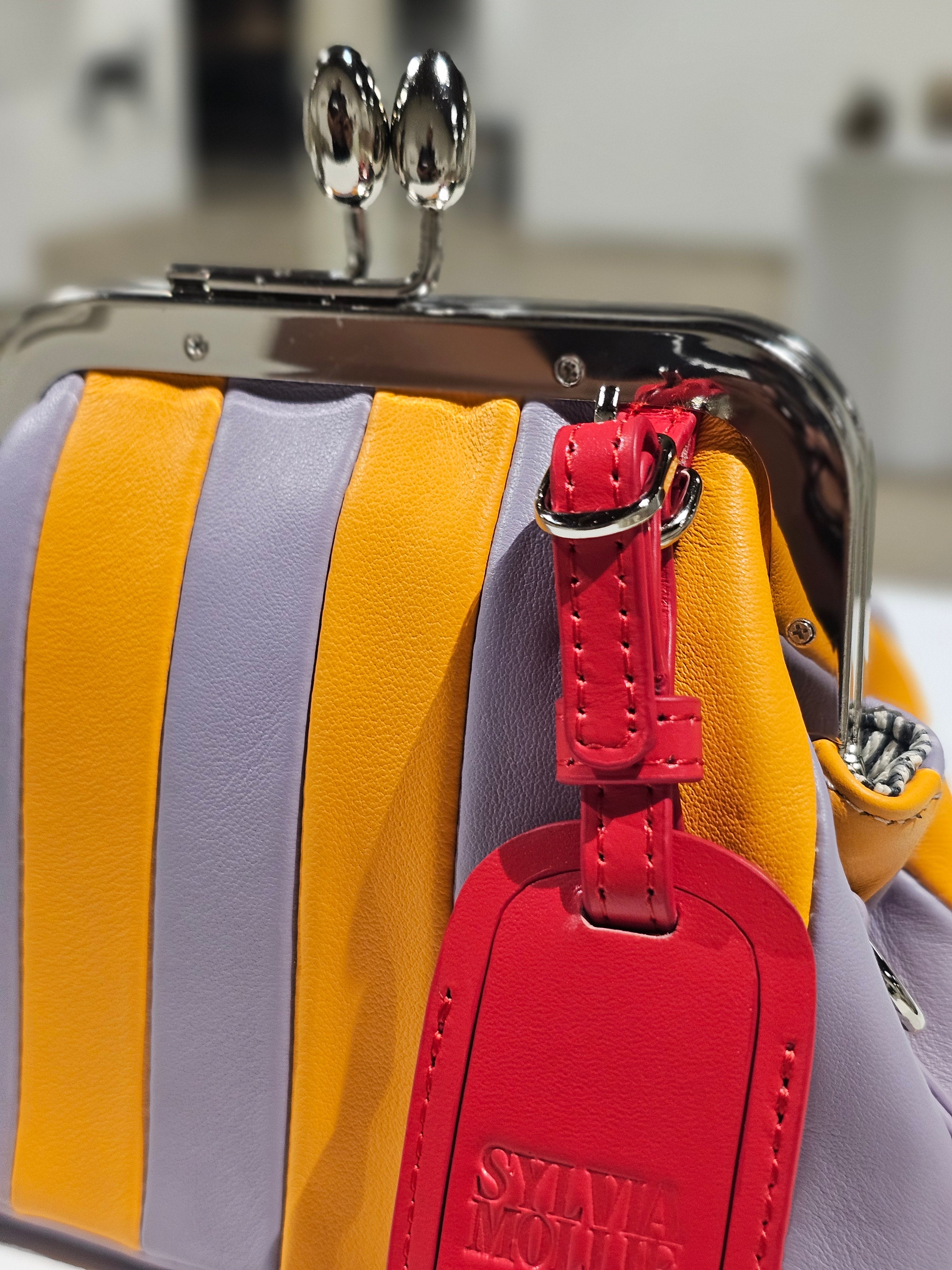Daisy Mae mini leather bag with gold-tone hardware