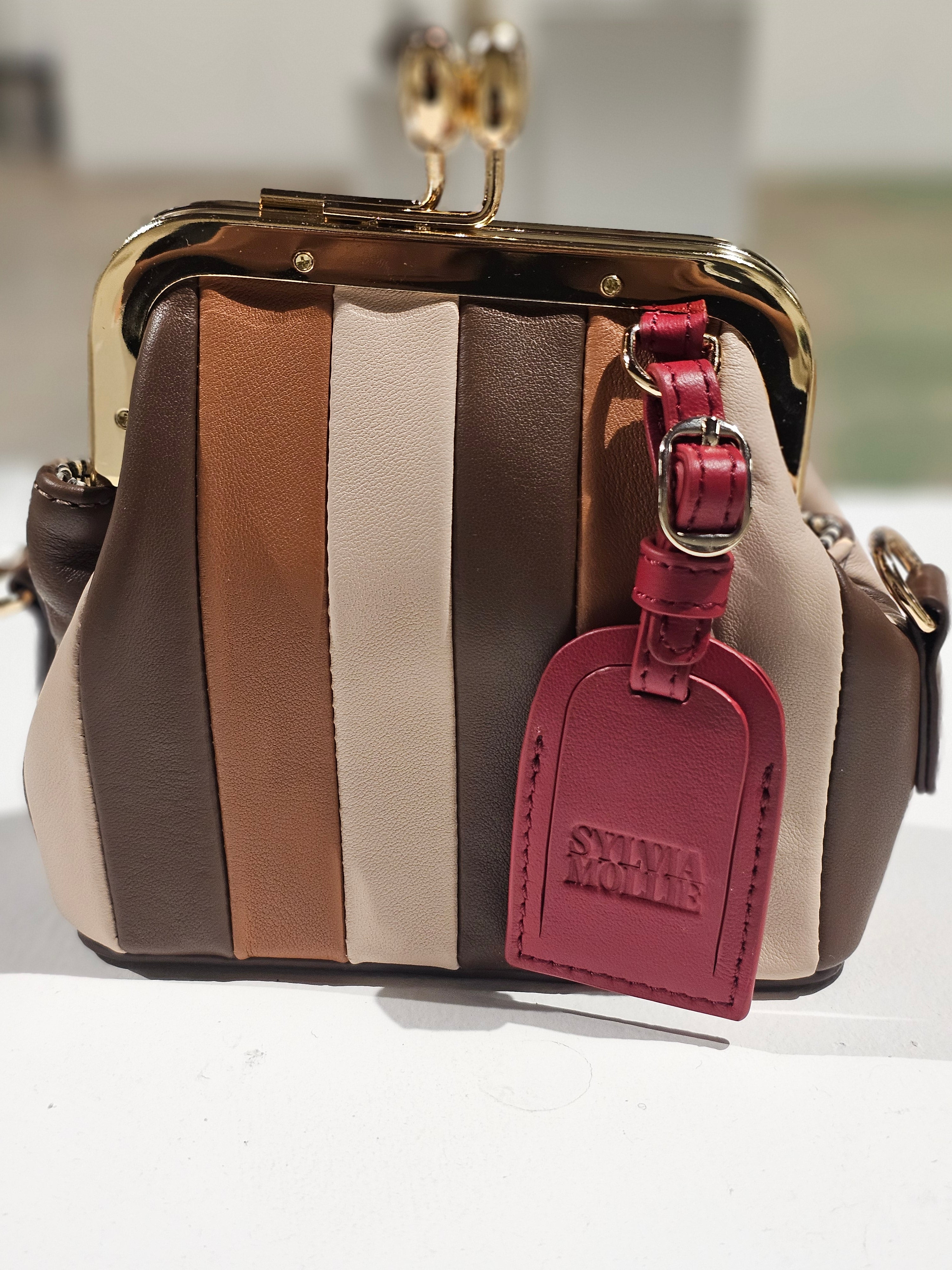 Chocolate leather mini bag with a gold-tone frame